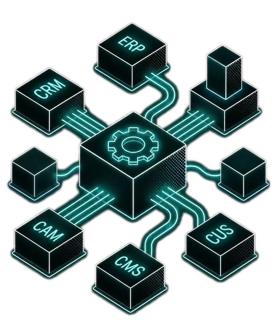 Custom Business Systems illustration